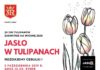 Jasło w tulipanach