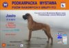 Wystawa psów rasowych w Jaśle