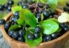 Aronia to prawdziwa bomba witaminowa – sprawdź, jak działa na organizm