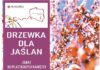 Drzewka dla jaślan – zbierz 100 plastikowych nakrętek i wymień na drzewko