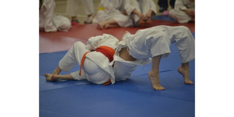 III Otwarte Mistrzostwa Miasta Jasła w Judo
