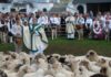 Redyk Karpacki -Transhumance 2013 rozpocznie Święto Baców