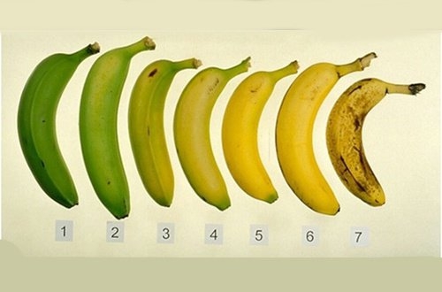 Które banany są zdrowsze – zielone czy dojrzałe?