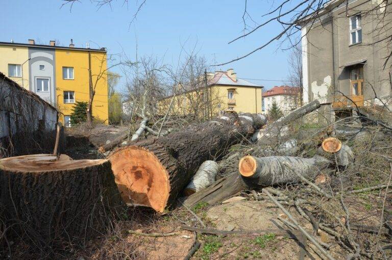 Wycinka drzew niepokoi mieszkańców