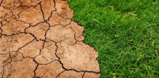 Światowy Dzień Ziemi. Każdy z nas może zadbać o środowisko naturalne