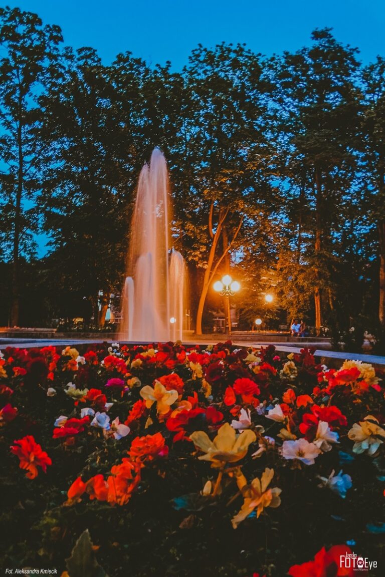 „Urokliwy park wieczorem” zdjęciem roku według internautów