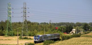 Starosta chce być lepszy od cesarza. I nie ważne czy to ma sens