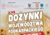 Dożynki Wojewódzkie w Osobnicy