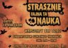 Magia, czy nauka? Zapraszamy na strasznie fajne warsztaty