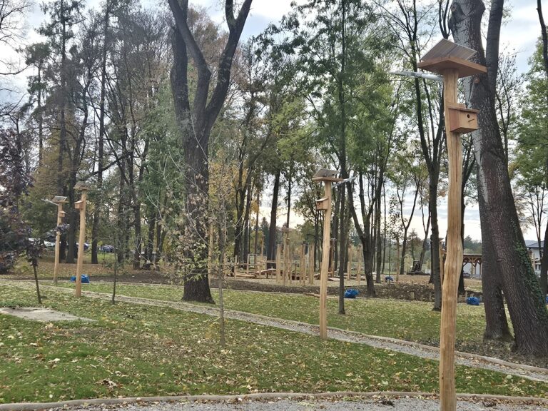 „Karpacki ogród deszczowy” – hit czy kit?