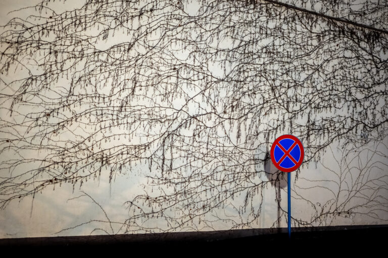 Ściana pokryta wyschniętymi pnączami, obok niej znak zakazu zatrzymywania się. Obraz symboliczny — sugeruje, że w świecie pośpiechu i zakazów to właśnie zatrzymanie, niemożliwe w teorii, pozwala zobaczyć i zrozumieć więcej.