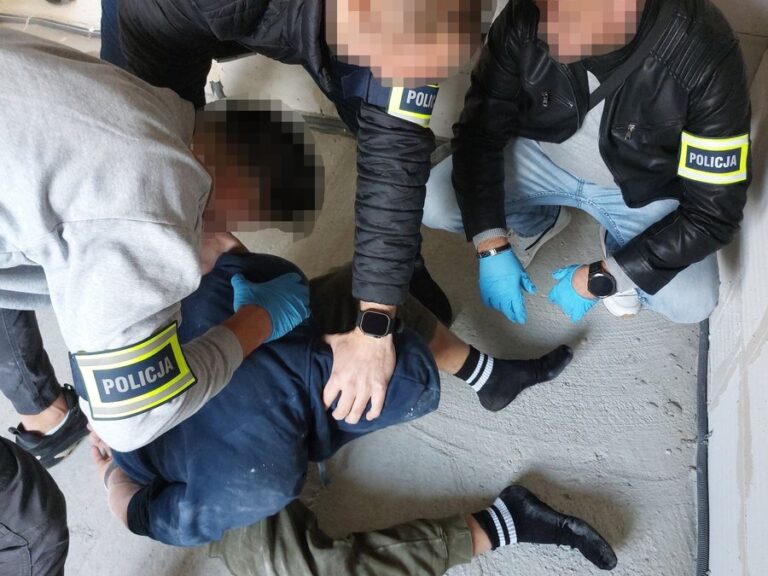 Sprawcy kradzieży z włamaniem w rękach policjantów