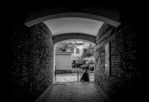 Miasto, które patrzy