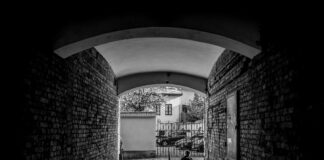 Miasto, które patrzy