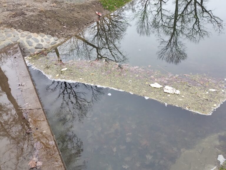 Ogród, który może być osadnikiem. Głos eksperta i pytania, które trzeba zadać