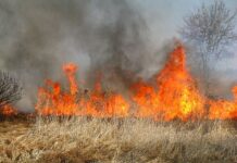 Ponownie przypominamy, że wypalanie traw jest zabronione i niebezpieczne!