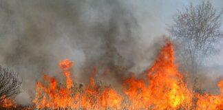 Ponownie przypominamy, że wypalanie traw jest zabronione i niebezpieczne!