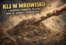 Kij w mrowisku – i bardzo dobrze, że ktoś nim w końcu poruszył