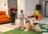 Cztery łapy, setki uśmiechów – dogoterapia w jasielskiej bibliotece