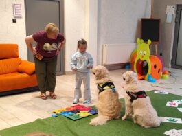 Cztery łapy, setki uśmiechów – dogoterapia w jasielskiej bibliotece