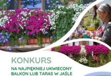 Weź udział w konkursie na „Najpiękniej ukwiecony balkon lub taras w Jaśle”