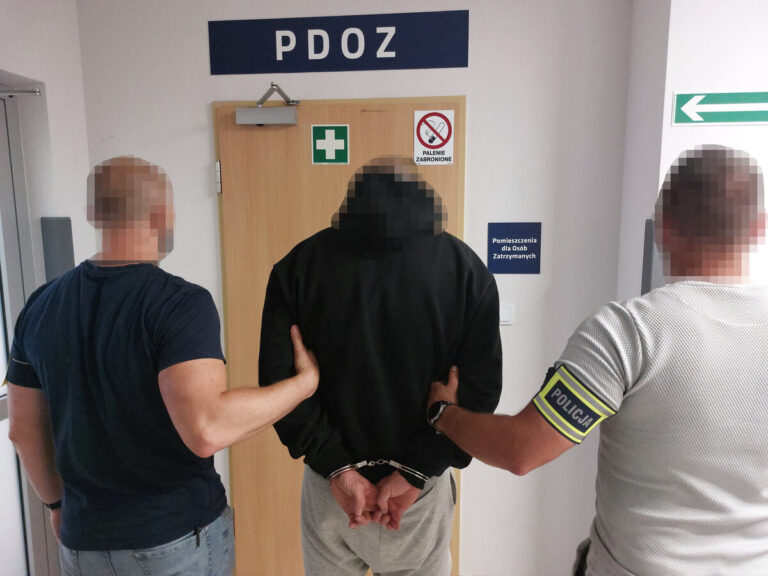 Włamywał się, kradł i niszczył samochody