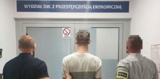 Oszukiwał przez Internet – trafił do aresztu