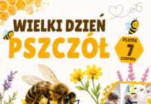 Wielki Dzień Pszczół z Generatorem Nauki GEN i Muzeum Regionalnym w Jaśle